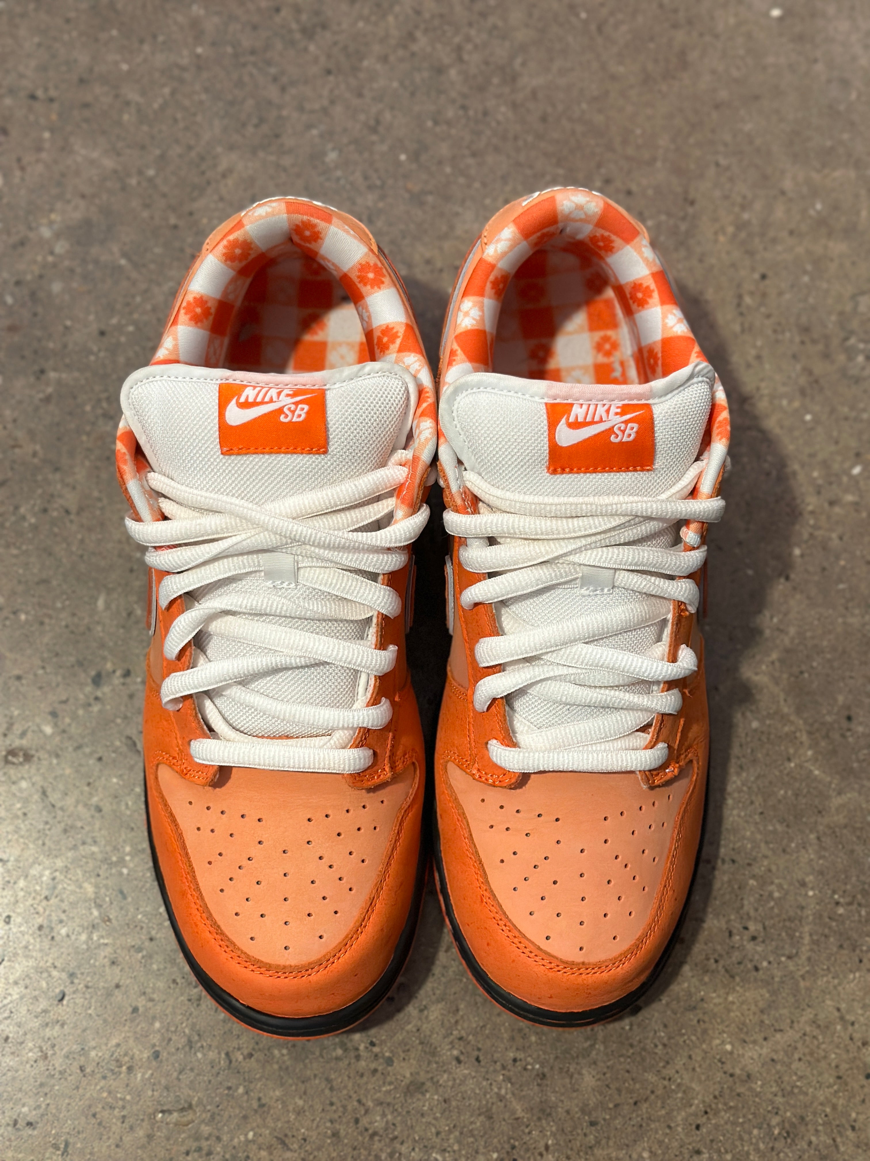 Nike SB Dunk Low Concepts Orange Lobster (Pre-Owned) Sz 10.5