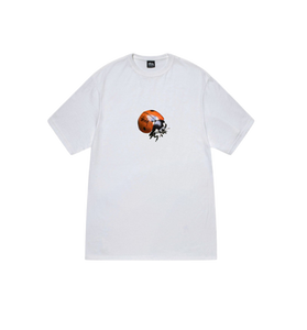 Stussy Ladybug Tee