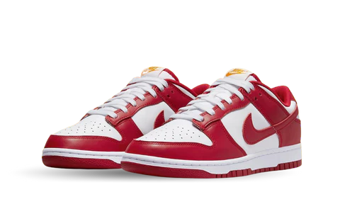 Nike Dunk Low USC