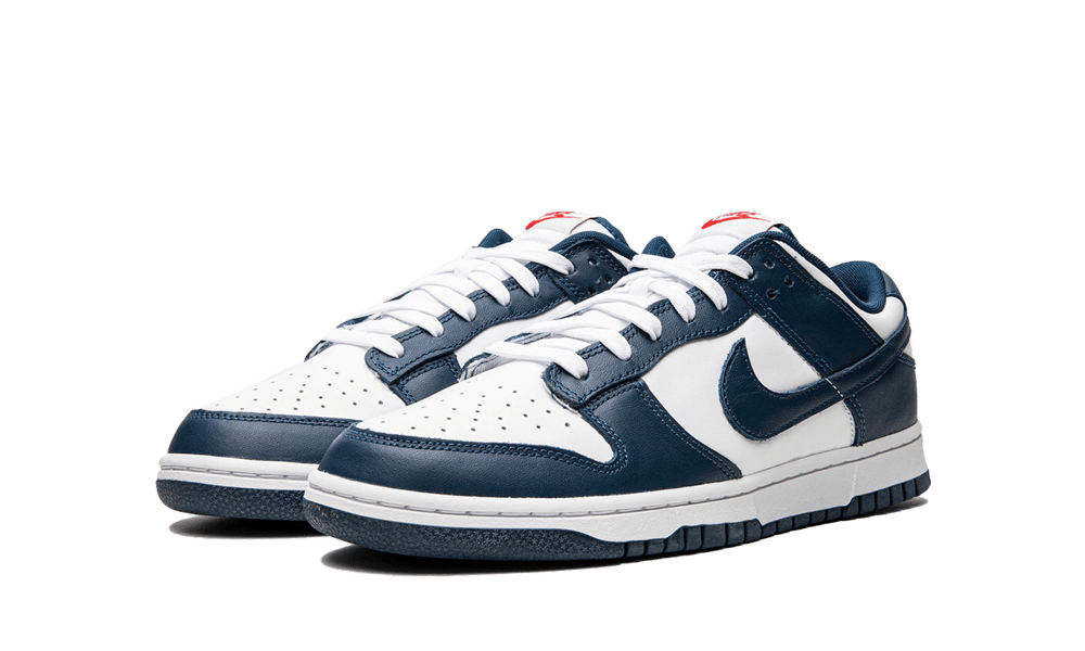 Nike Dunk Low "Valerian Blue"