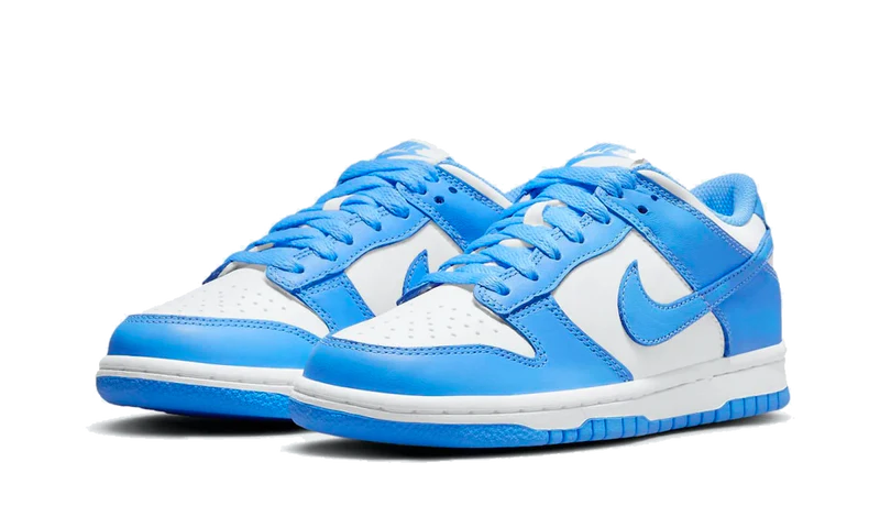 Nike Dunk Low "UNC"